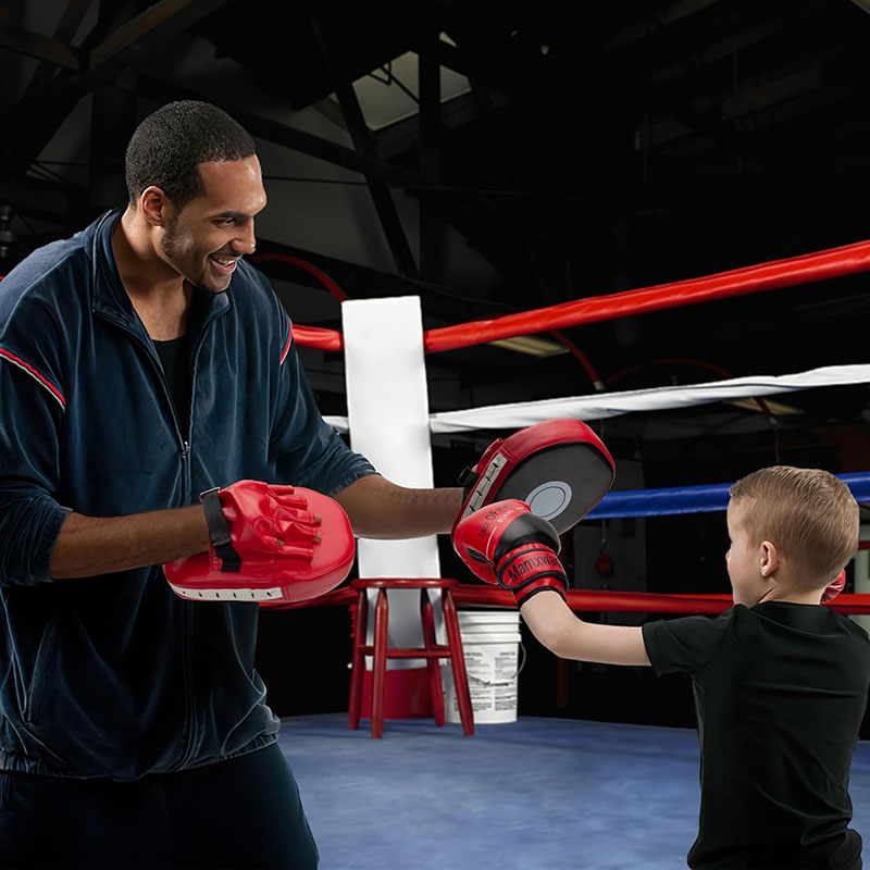 3-in-1 Boxing Gloves and Punch - Boxing Glove Set ulasan dan harga